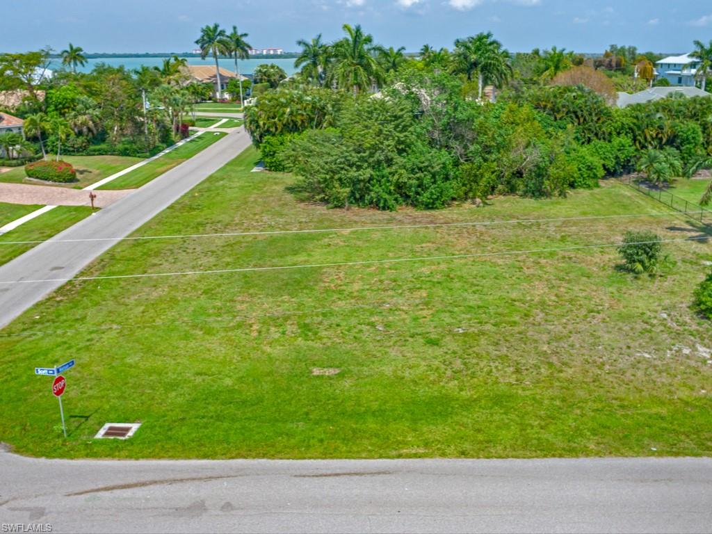 a view of a garden with an outdoor space