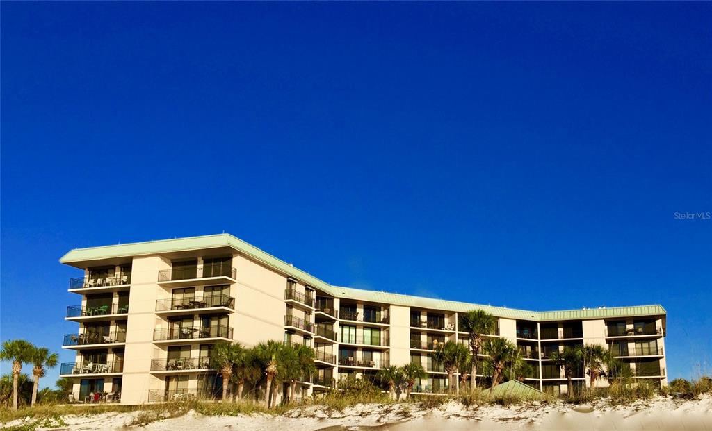 Discover Driftwood Sands: A Hidden Gem at Indian Rocks Beach, Florida