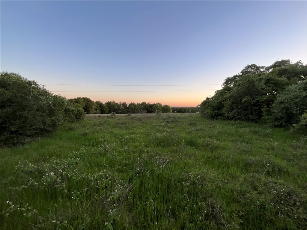 a view of a city with lush green forest