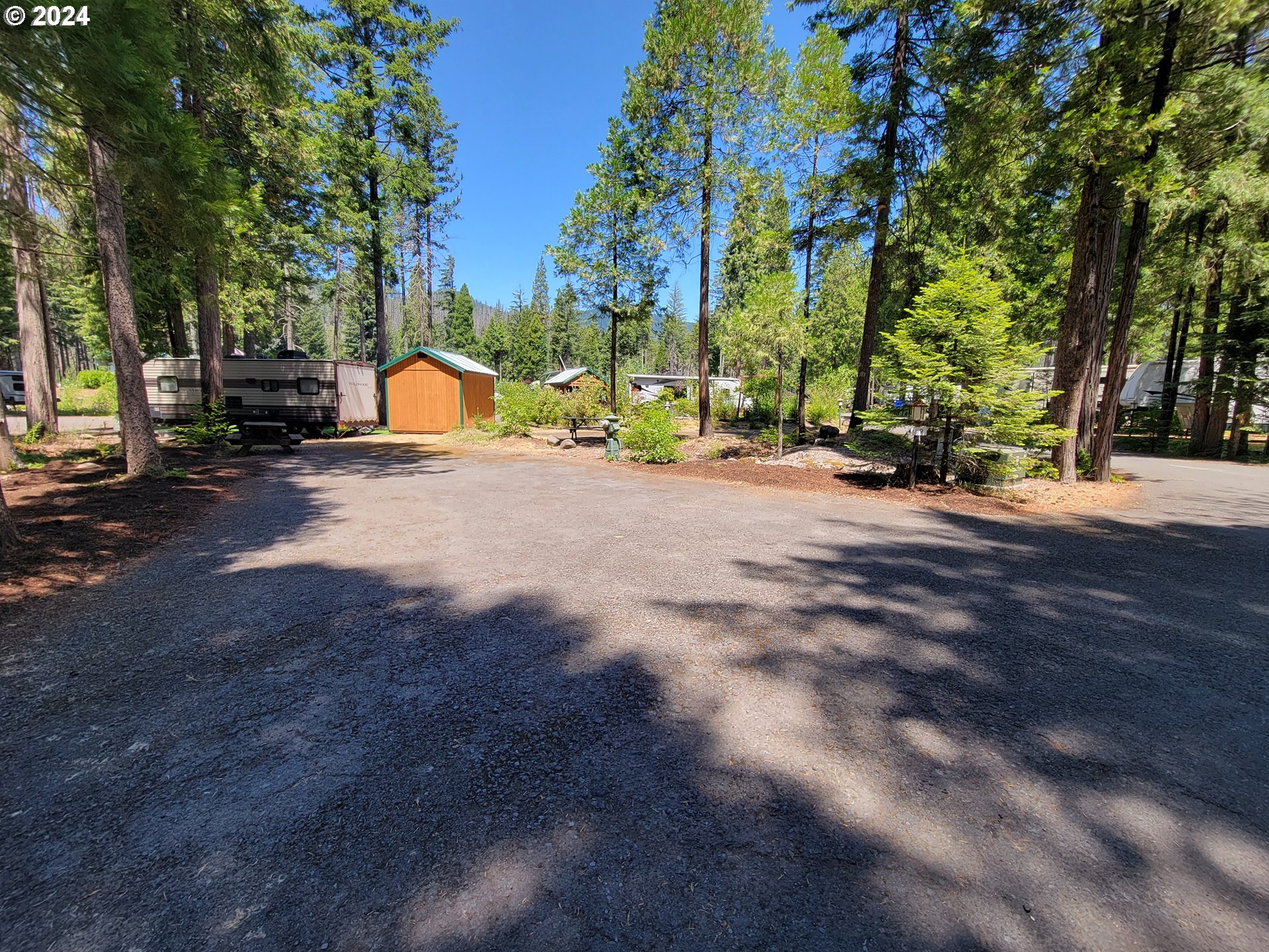 a view of a trees with backyard of house