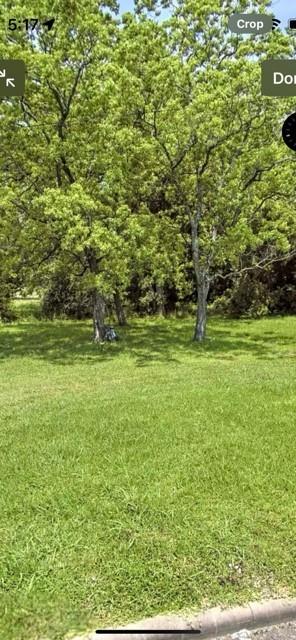 a view of a field with an trees