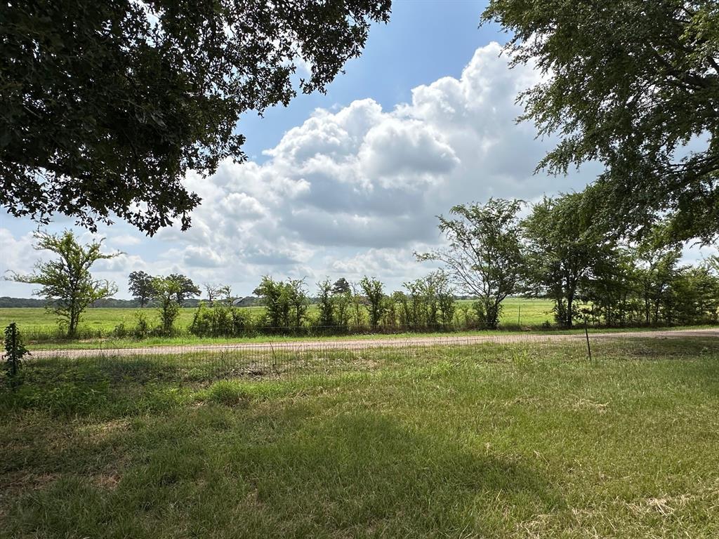 a view of a big yard with a large trees