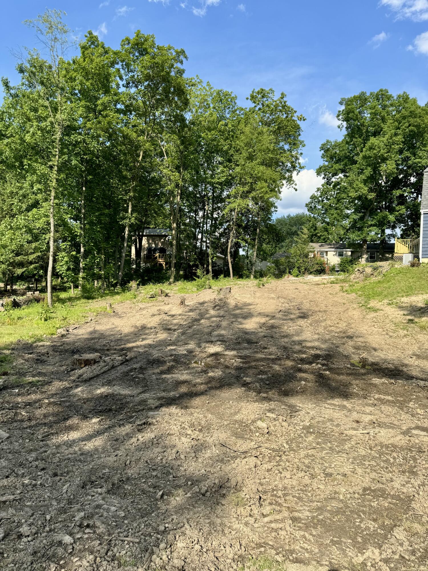 a view of a yard with large trees