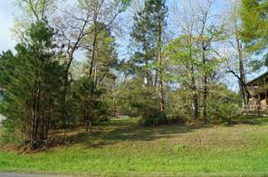 a view of backyard