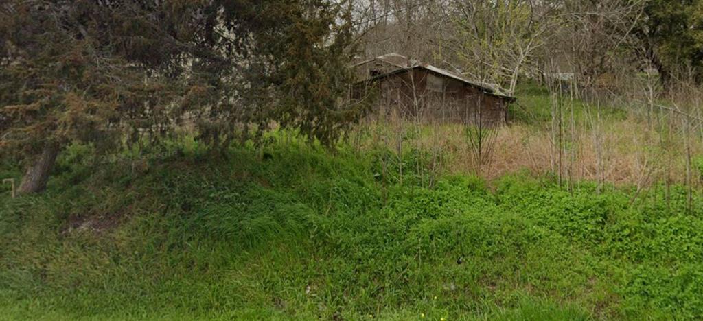 Lot has an uninhabitable dwelling surrounded by overgrown brush, offering a blank canvas ready to be cleared and transformed—perfect for those with vision