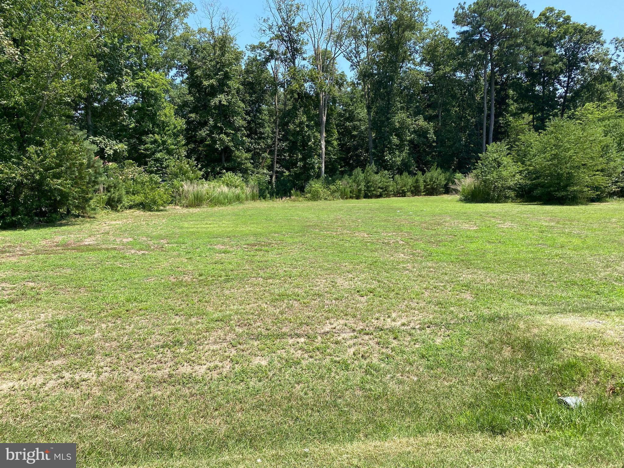 a view of a field with an trees