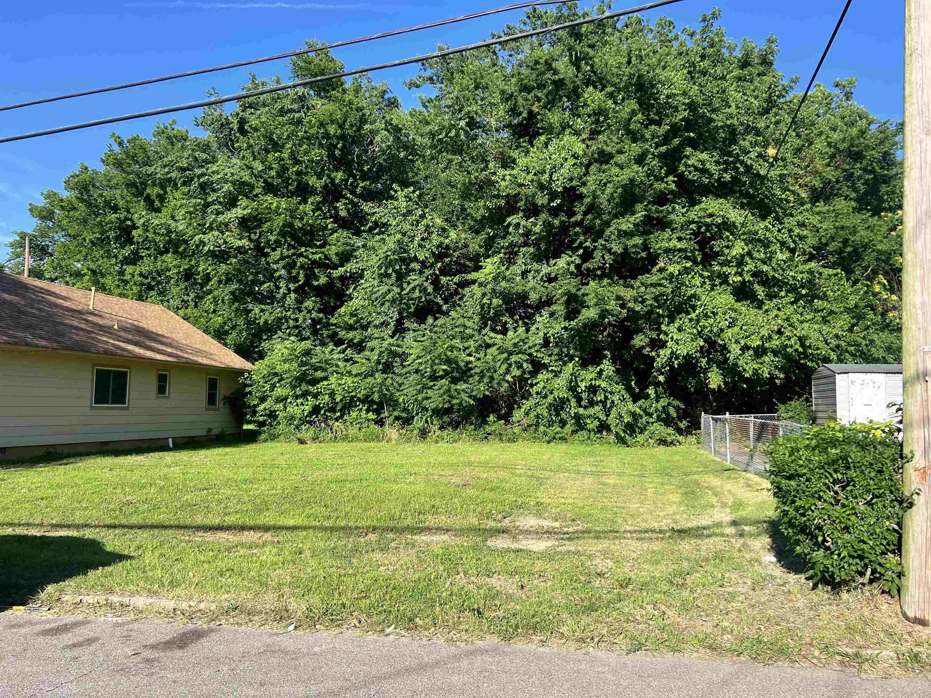 a view of a backyard with plants