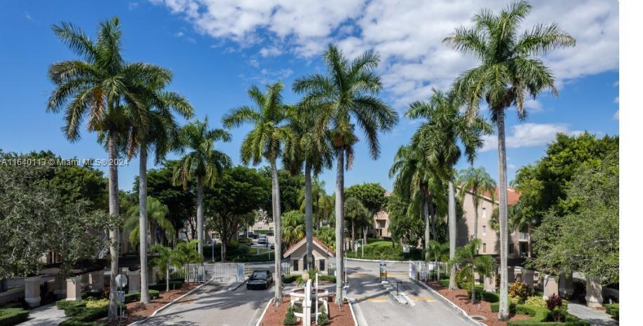 a view of a yard with a palm tree