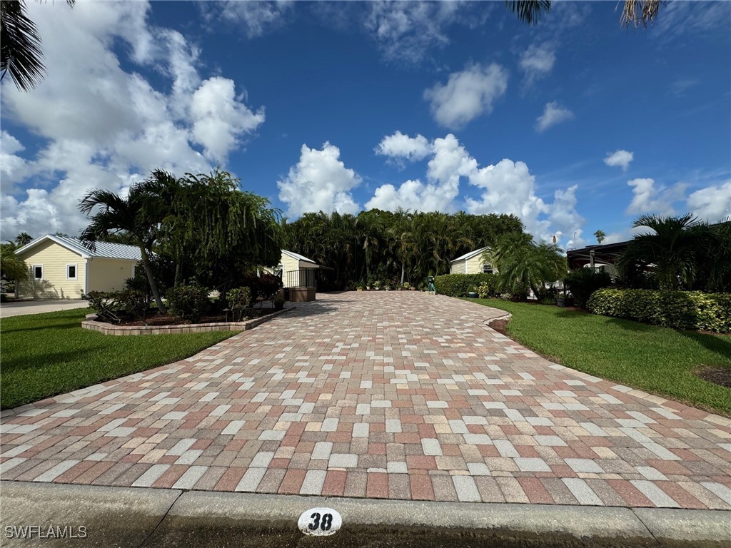 a view of a backyard