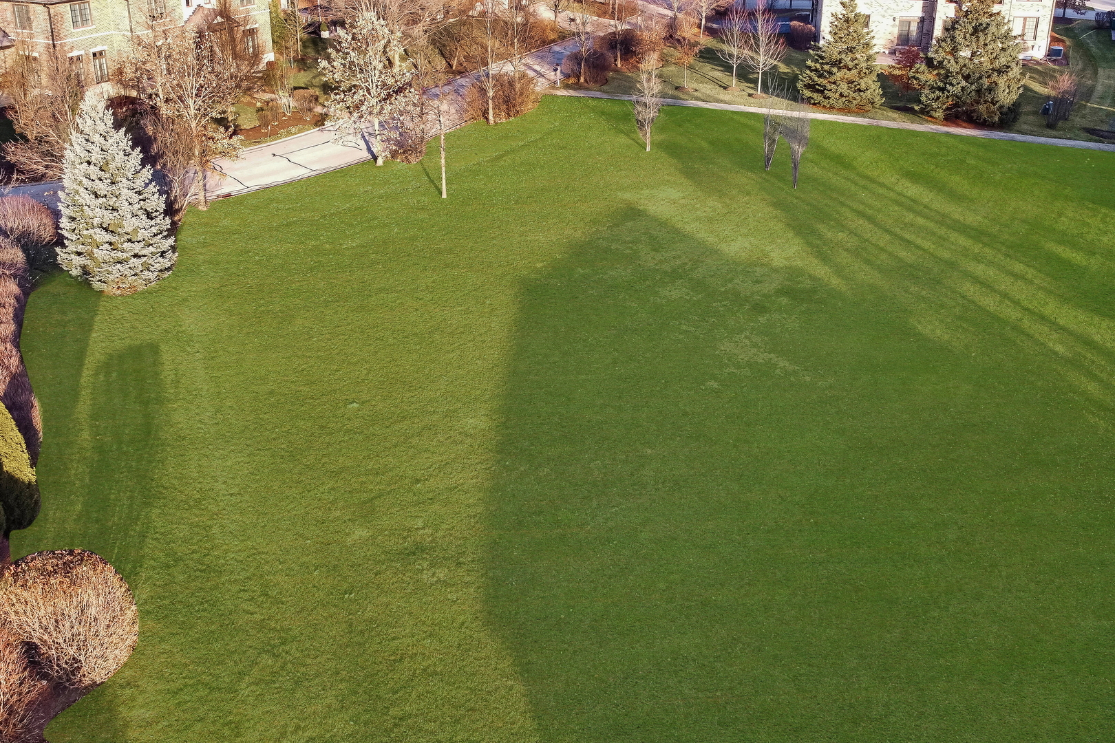 a view of a lake from a yard