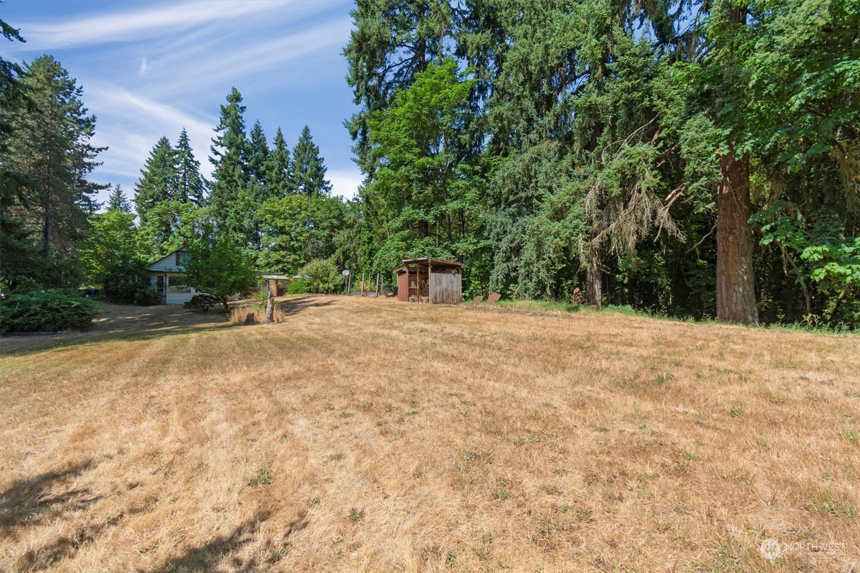 a view of a yard with a tree