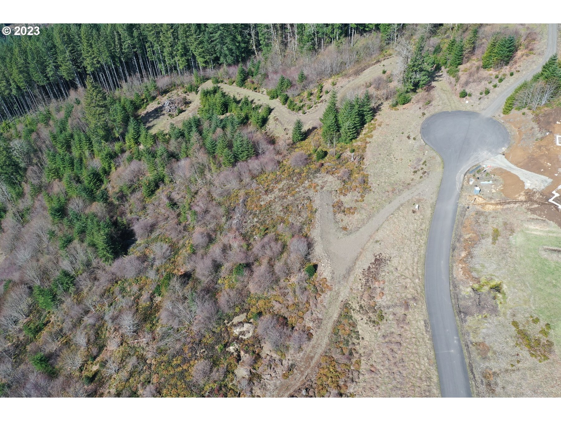 a view of a dry yard with large trees