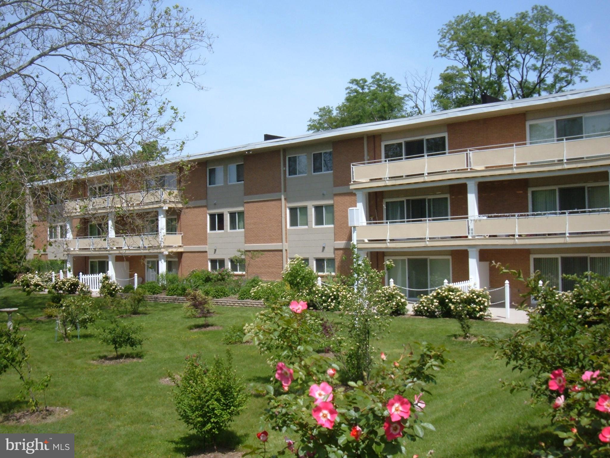 a view of a big yard with plants and large trees