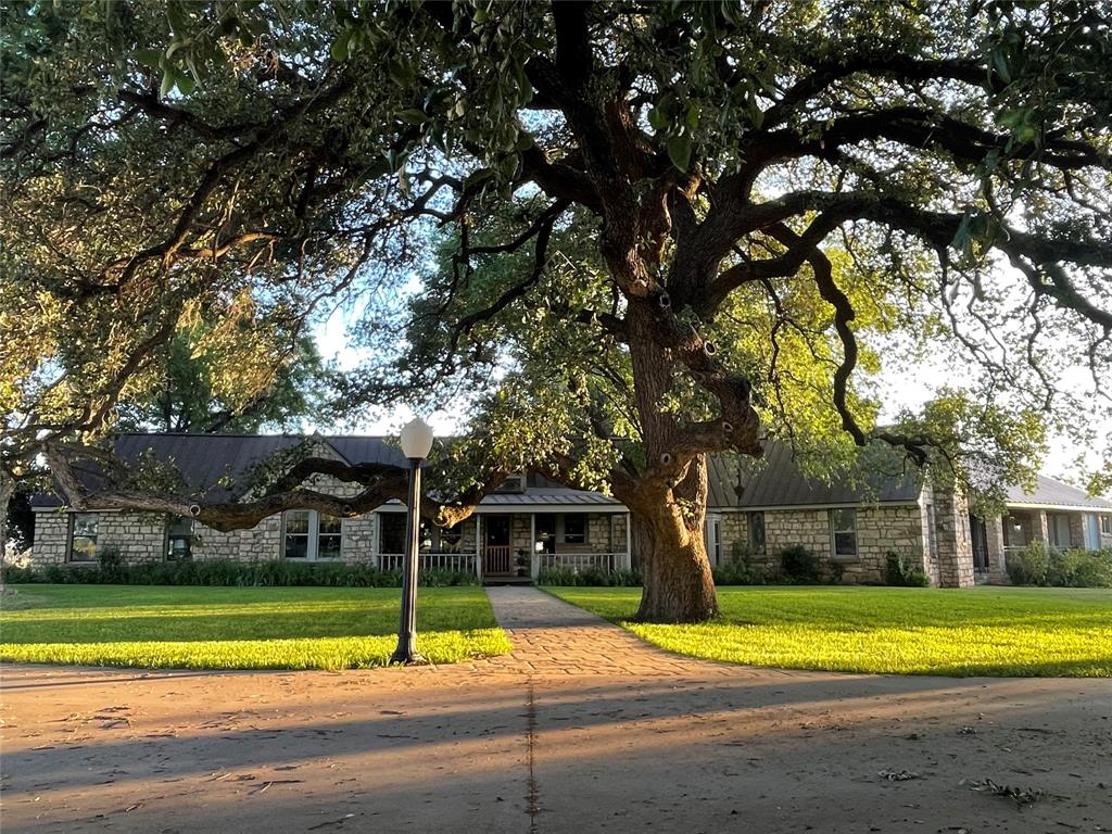 a view of a house with a large trees