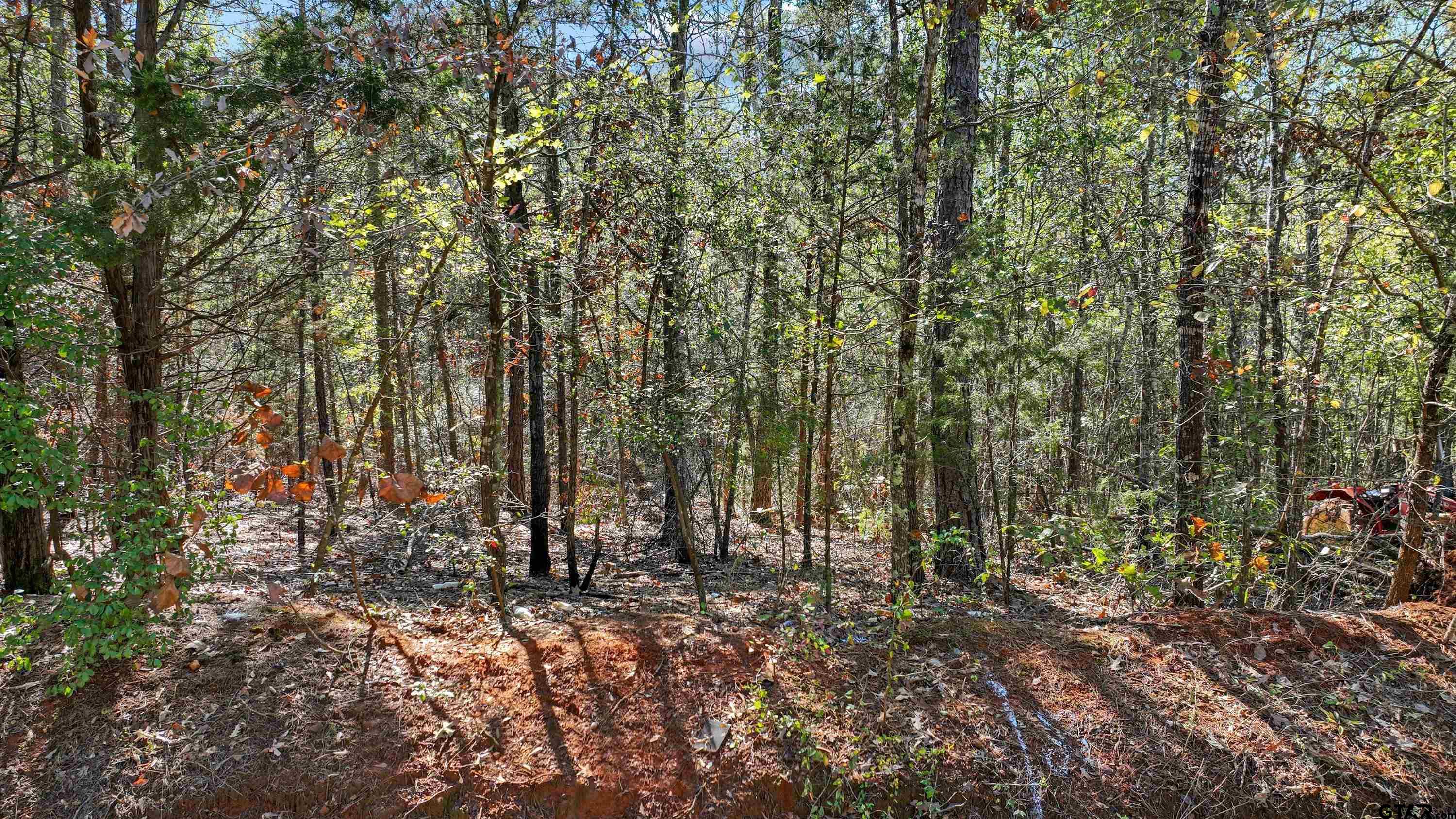 a view of outdoor space and trees