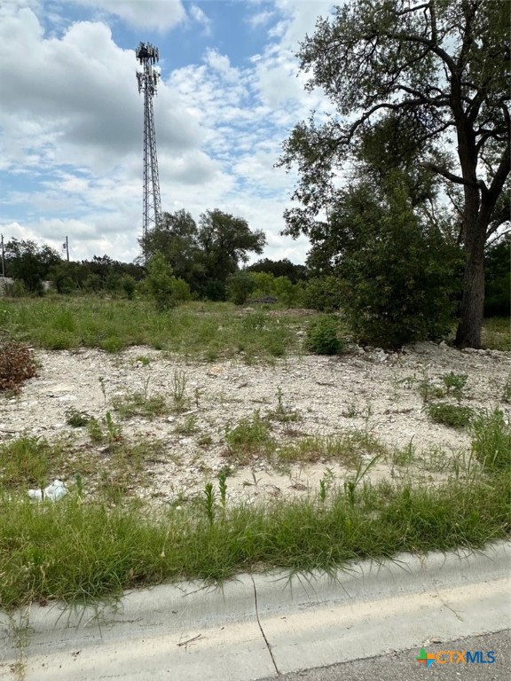 a view of lake view with tree