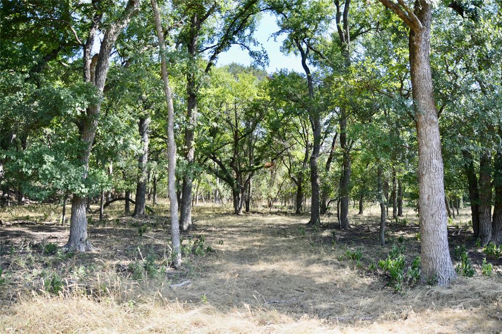 a view of outdoor space with lots of trees