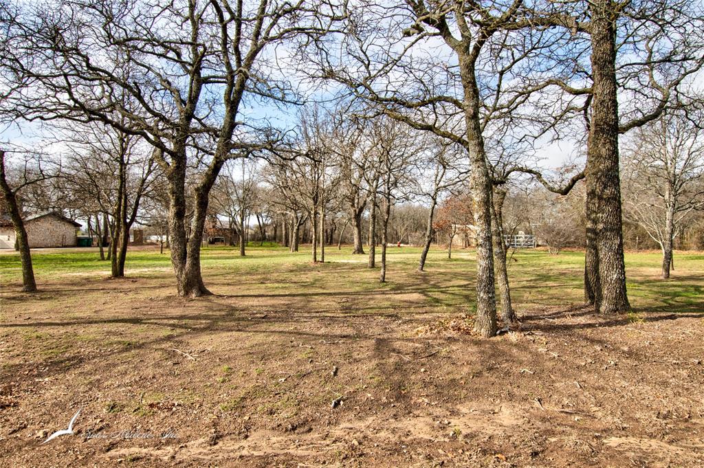 a view of yard with tree