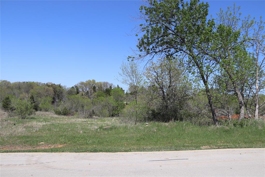 a view of a field with a tree in the background