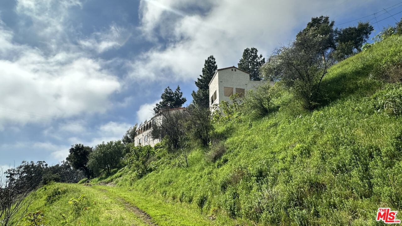 a view of a garden