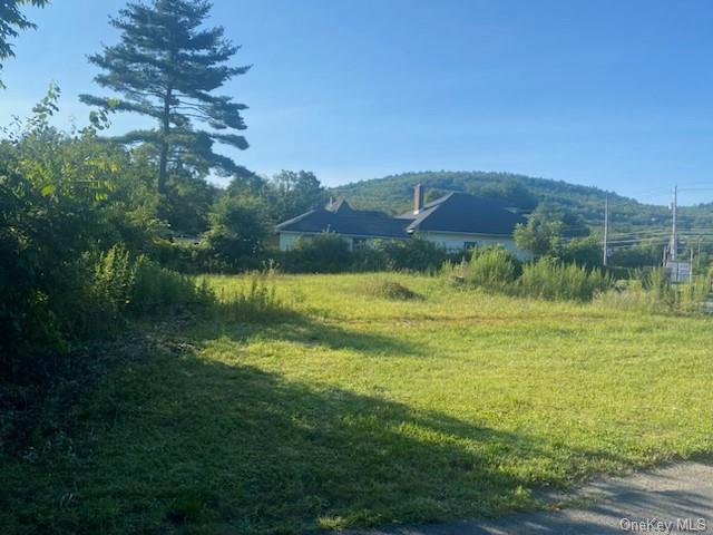 a view of a lake from a yard