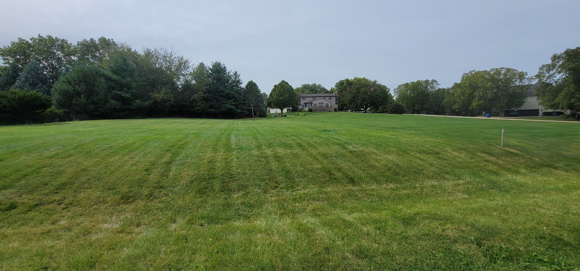 a view of a field of grass and trees