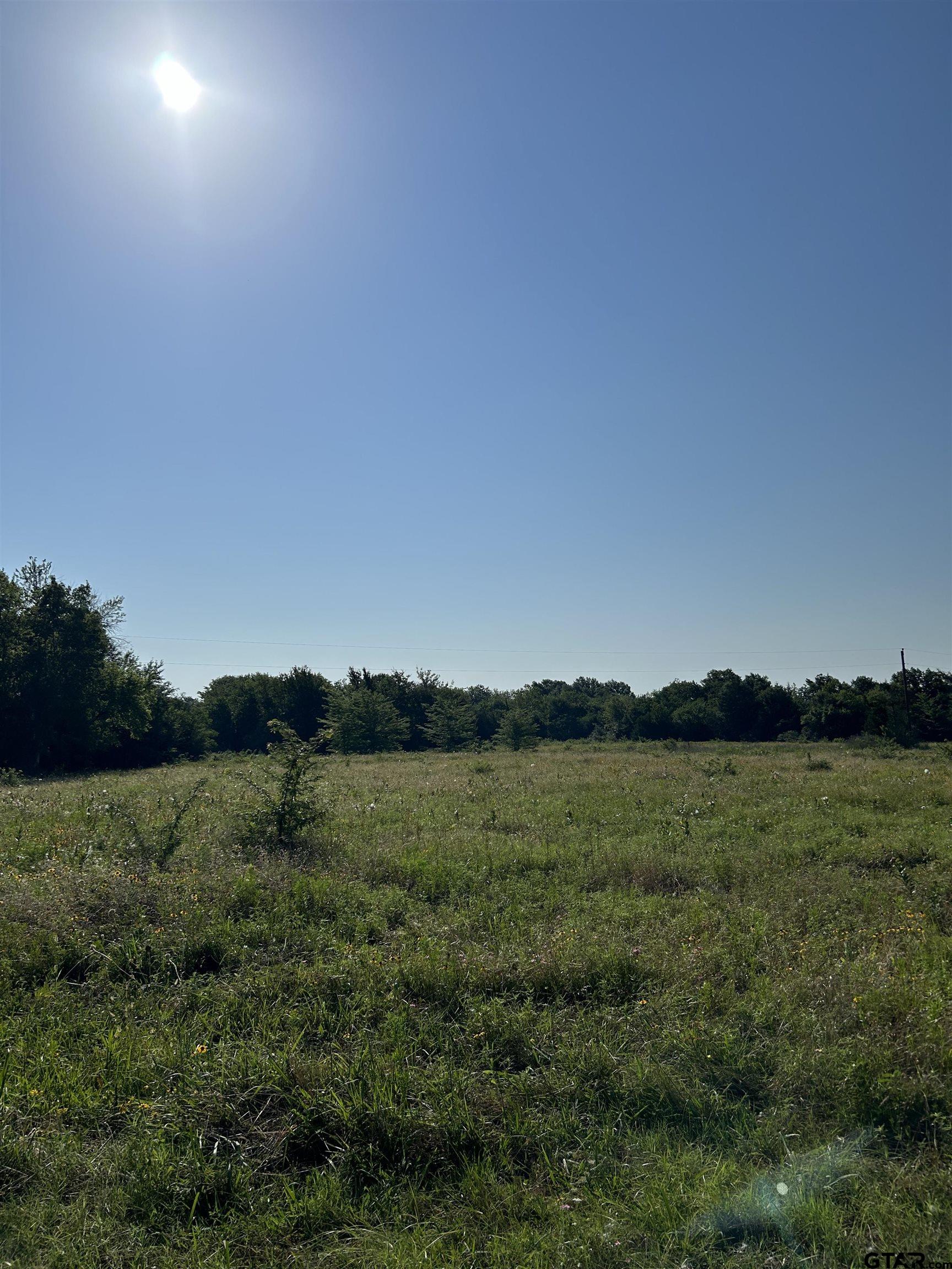 a view of a green field with an ocean view