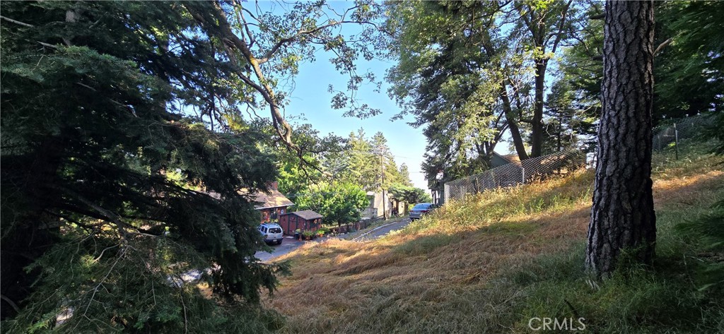 a view of a yard with a tree