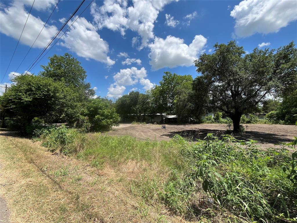 a view of backyard with green space