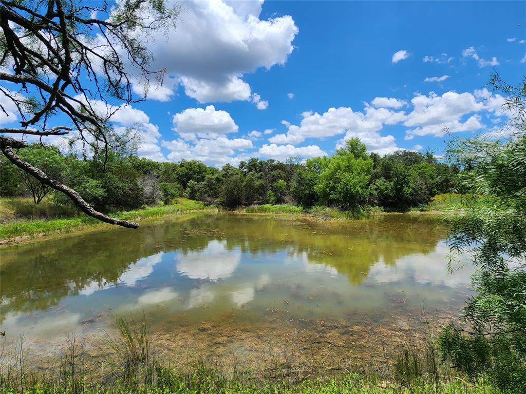 a view of a lake in between the river and trees in the background