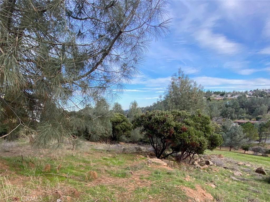 a view of a yard with a tree