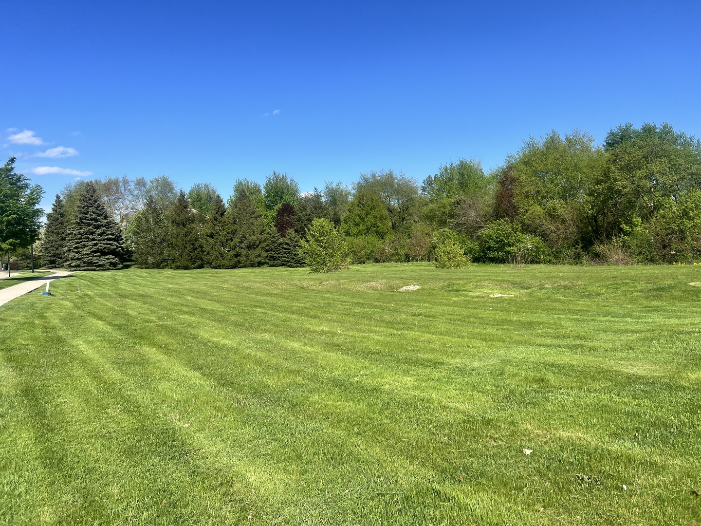 a view of a grassy field with trees in the background