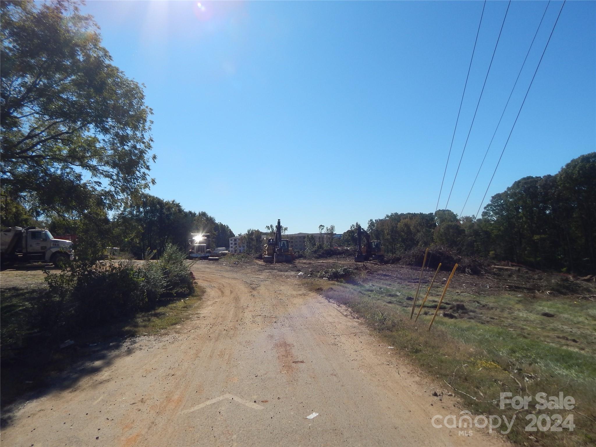 a view of a dry yard