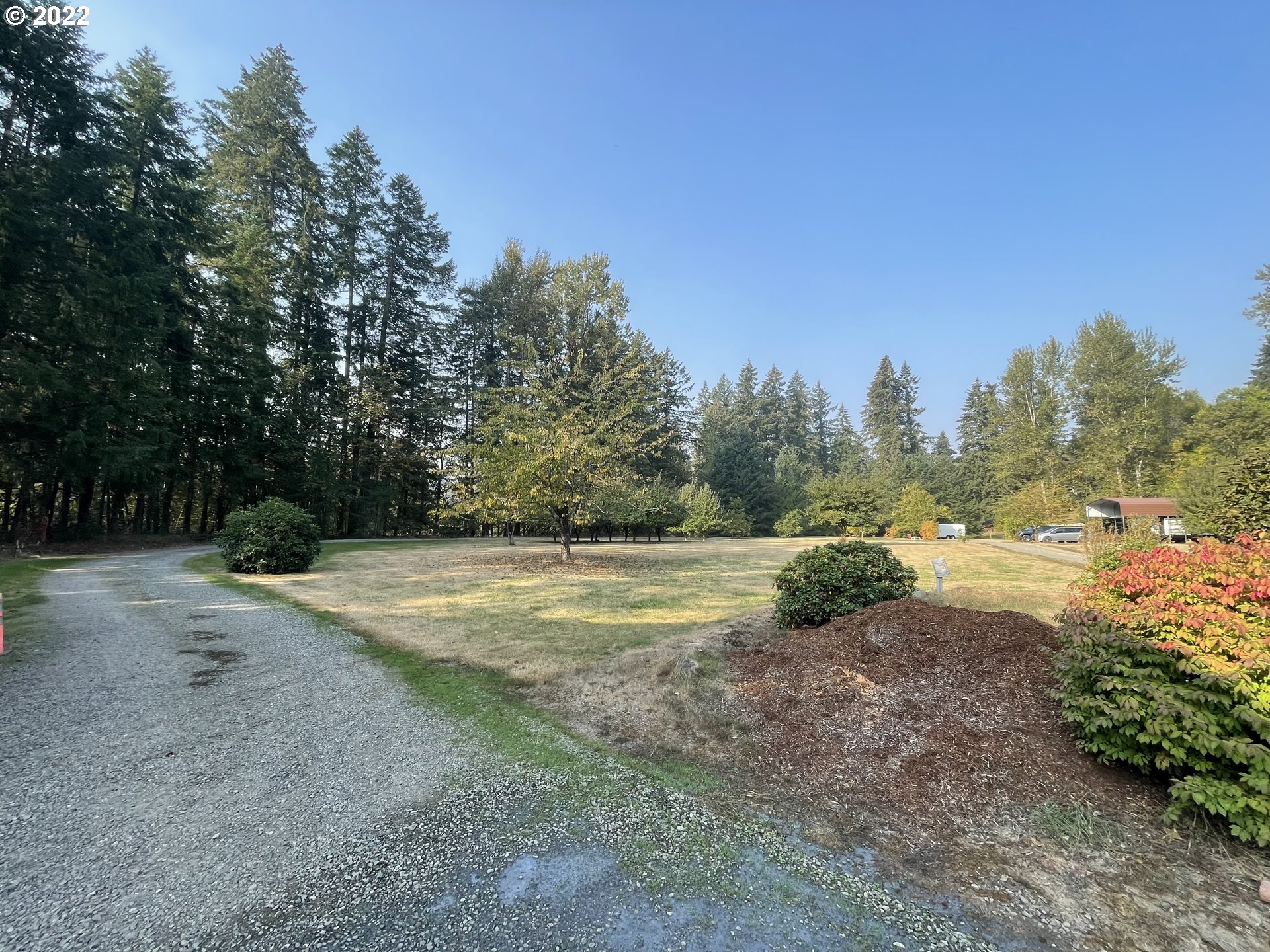 a view of dirt field with trees in the background