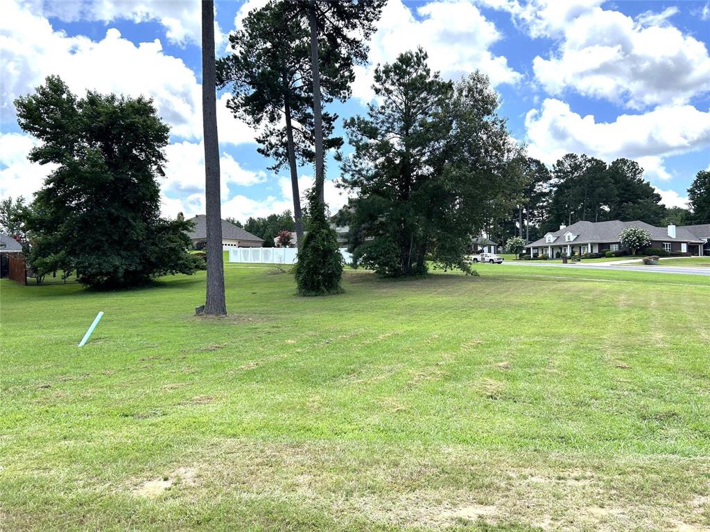 a view of yard with tree