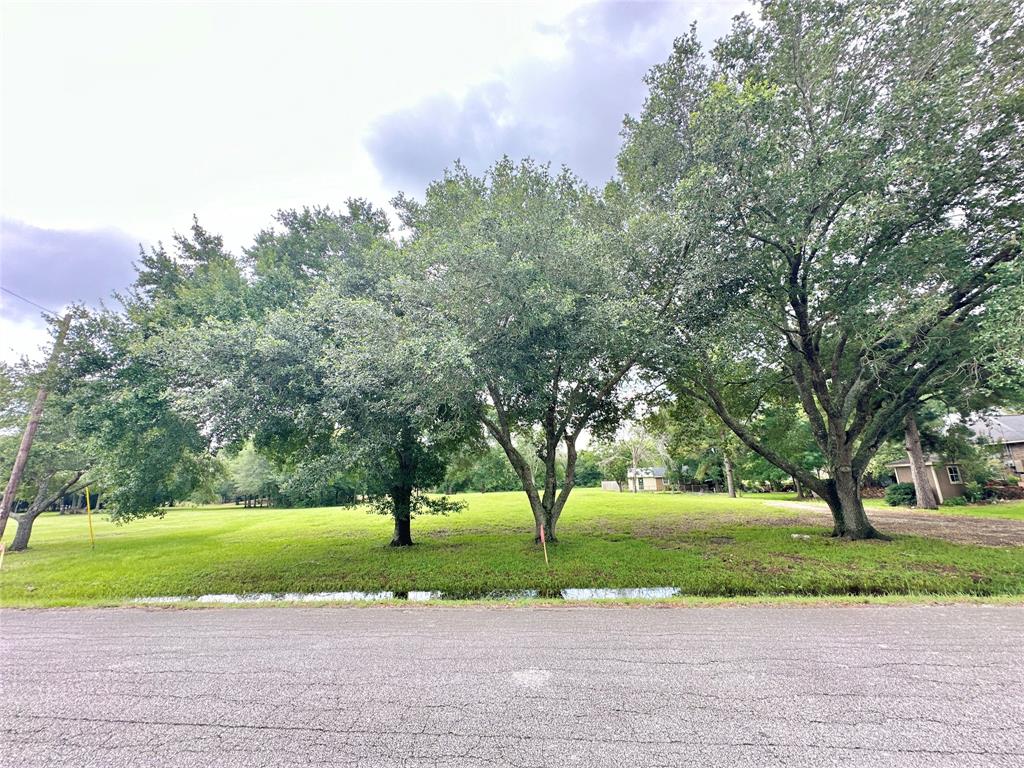 a big yard with trees