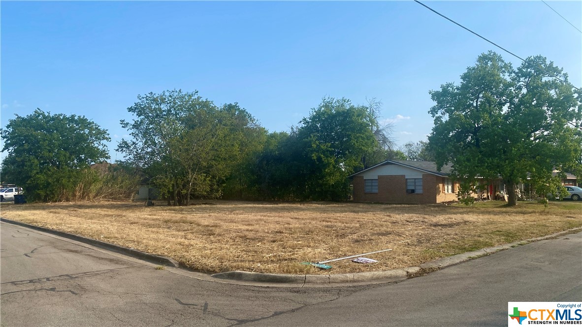 a view of a yard with large trees