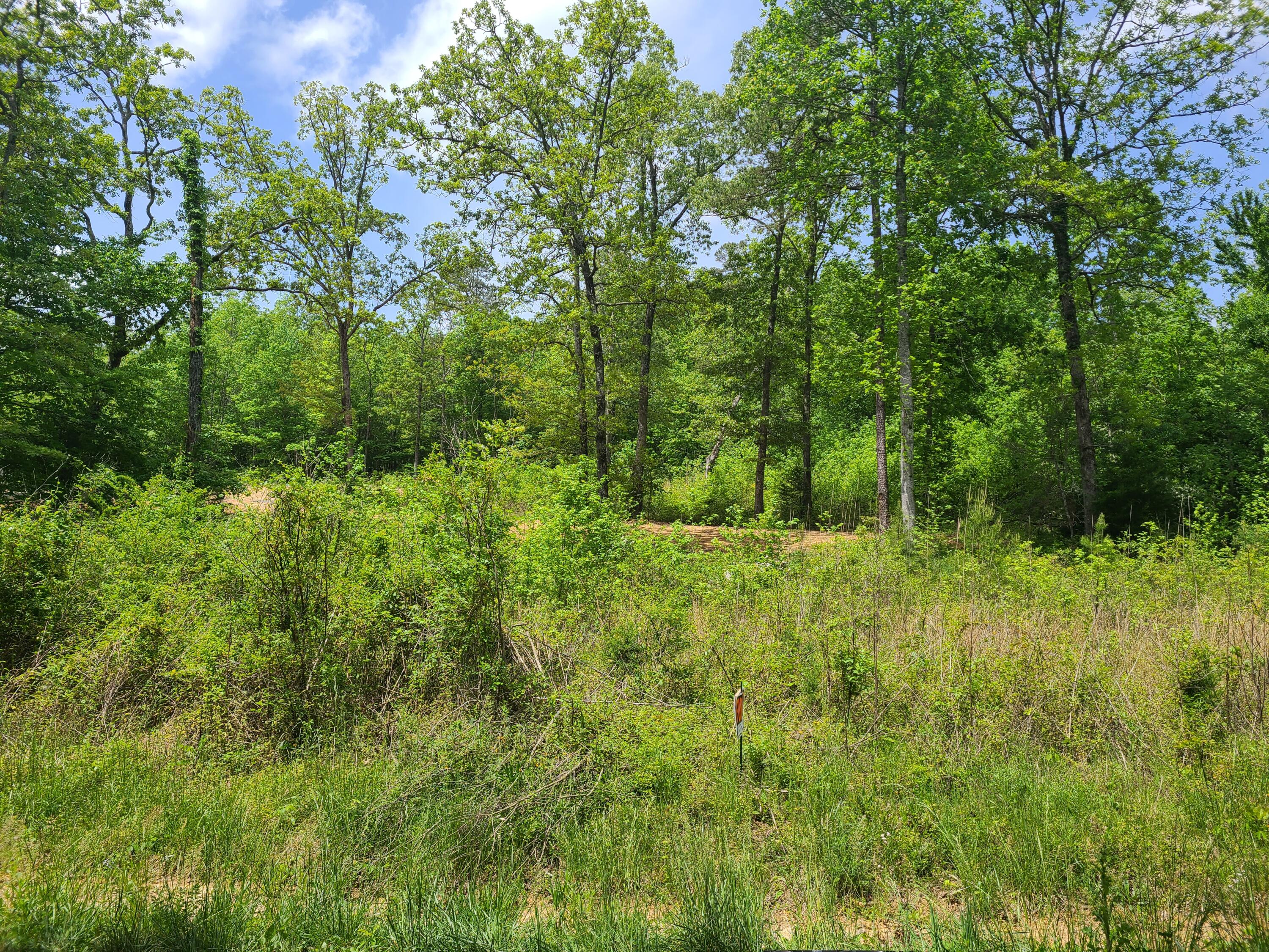 Hudlow Loop Road 2