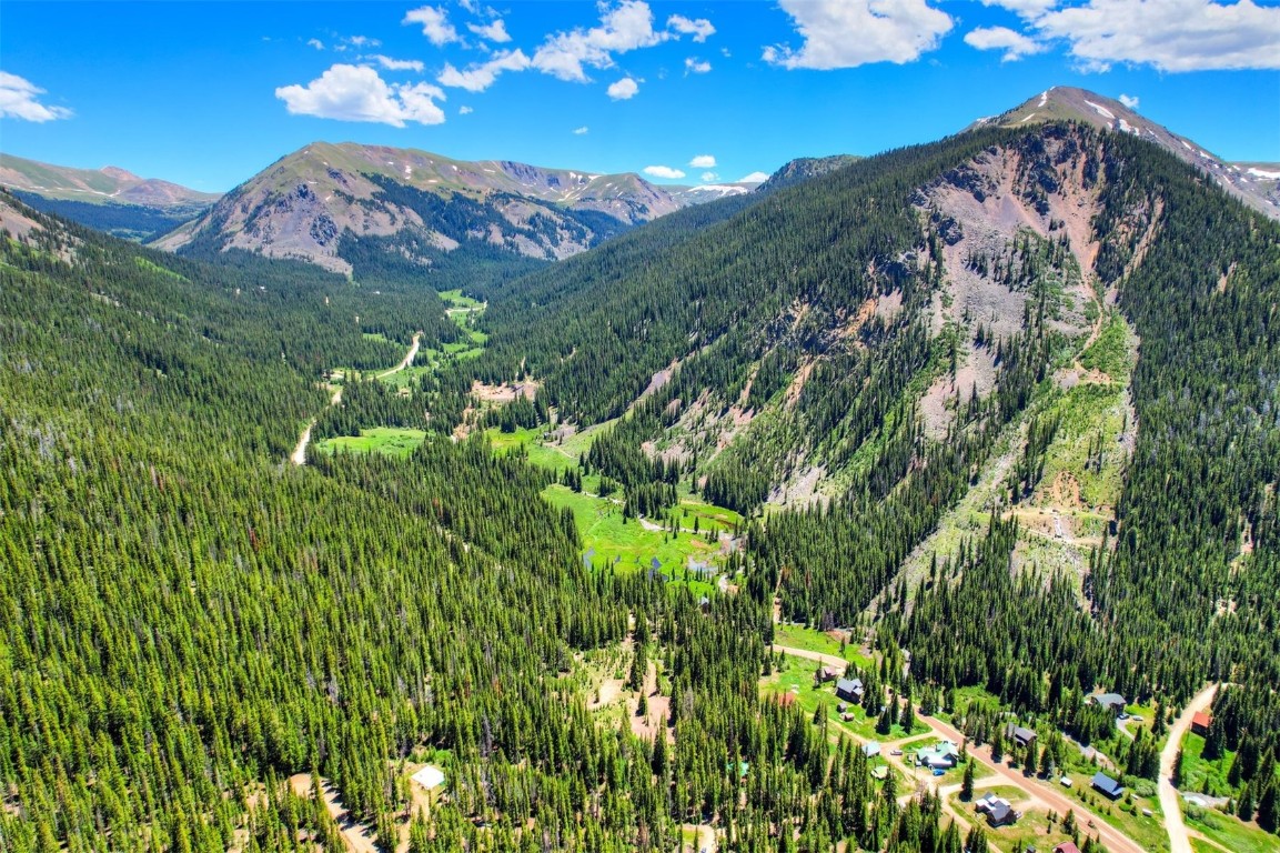 a view of a lush green forest with mountains in the background