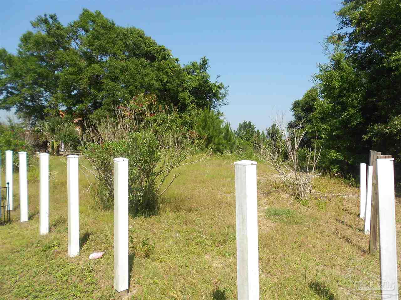 a view of a garden