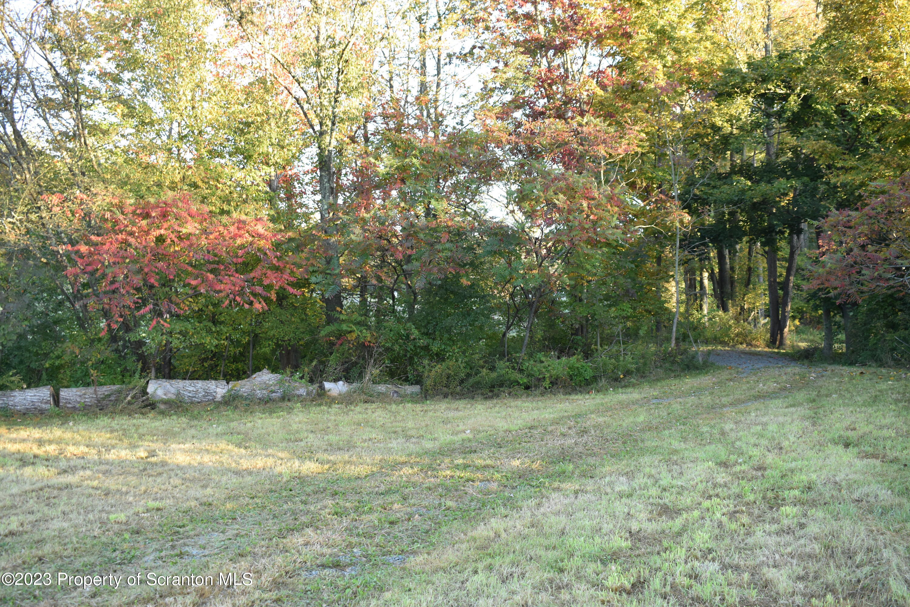 a view of outdoor space with deck and yard