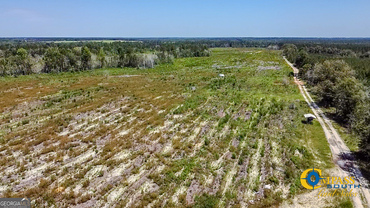 a view of a yard