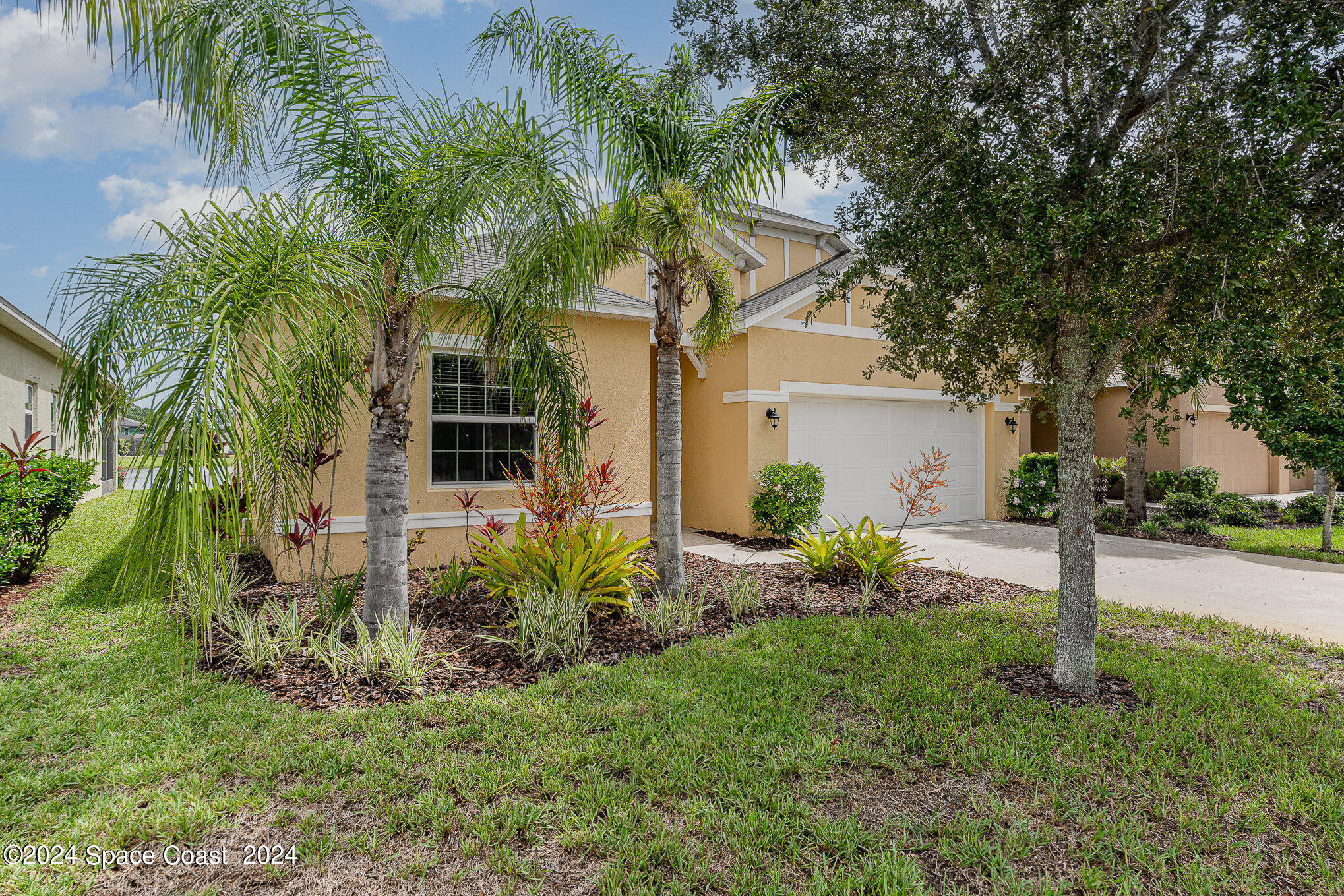 a view of a house with a yard and palm trees