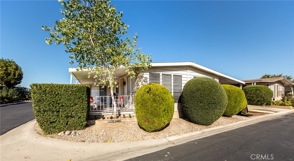 a view of a back yard of the house