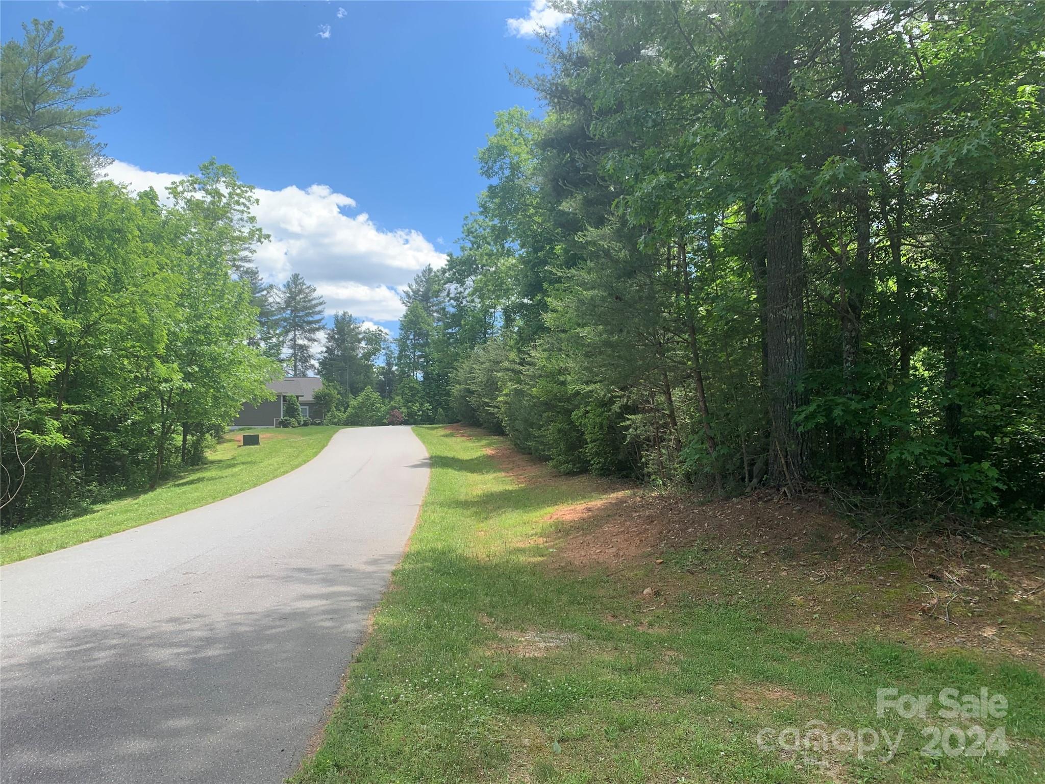 a view of a road with a yard