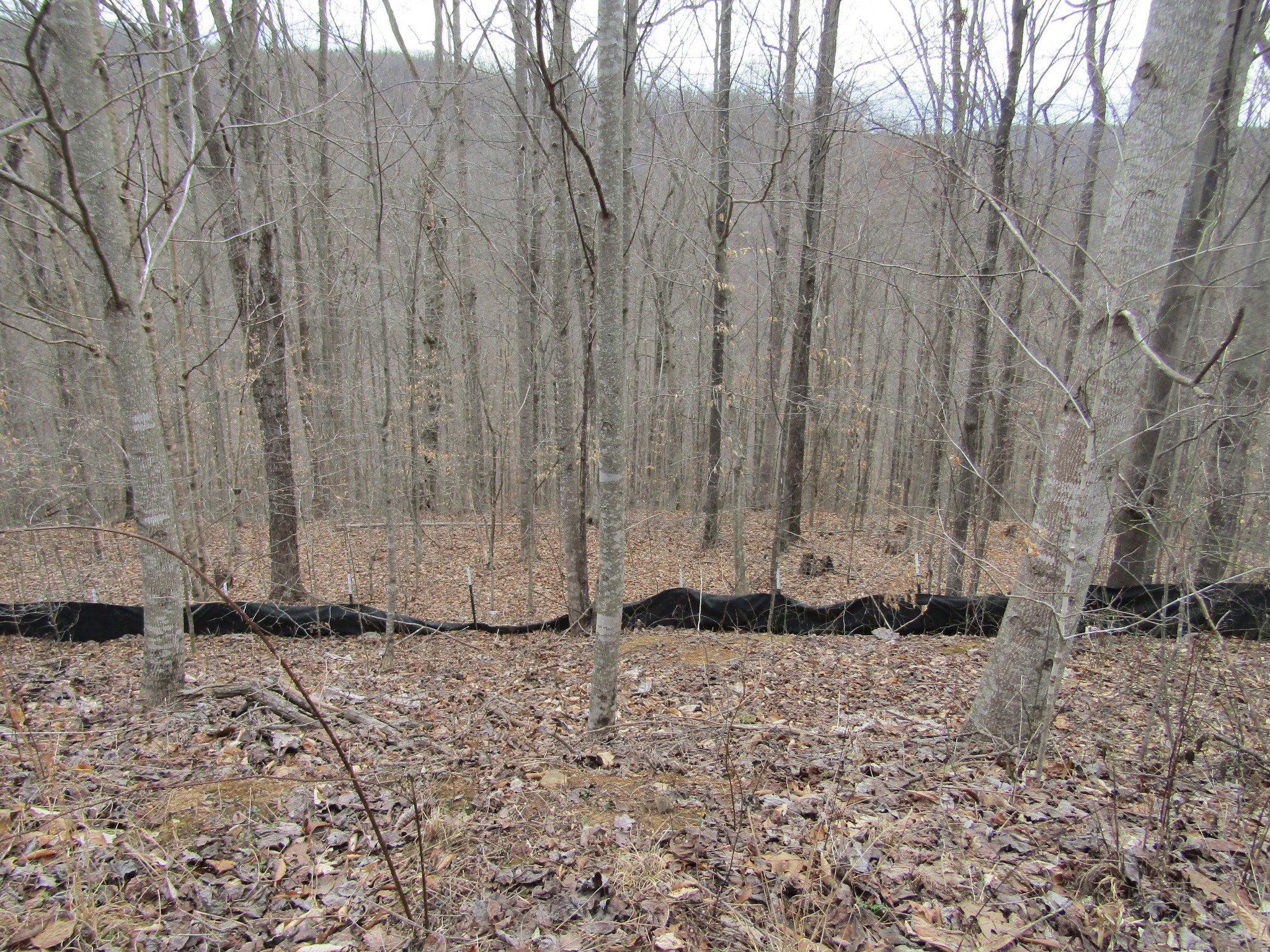 a view of wooden fence in the backyard