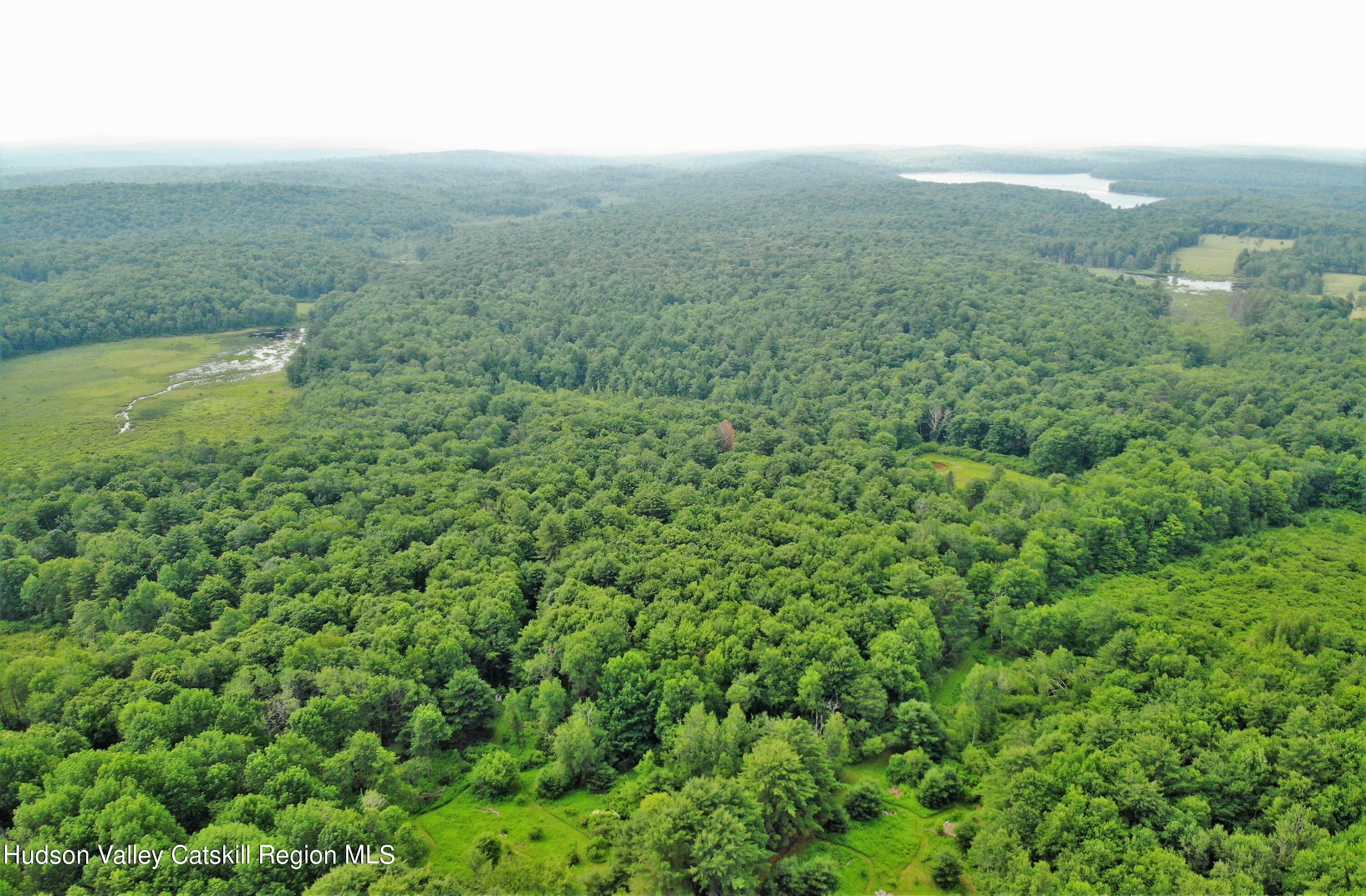 a view of a green field with lots of bushes