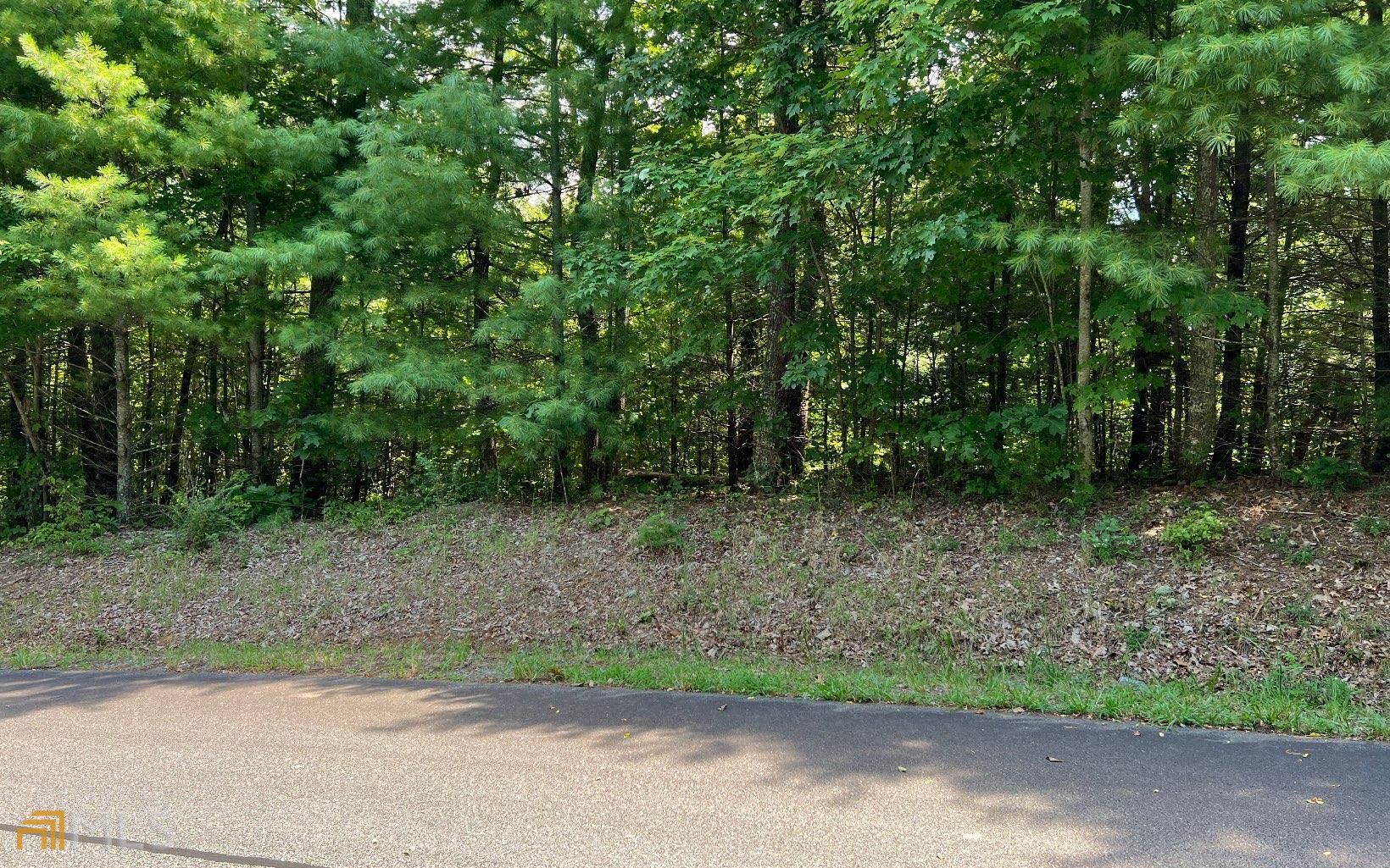 a view of outdoor space and yard