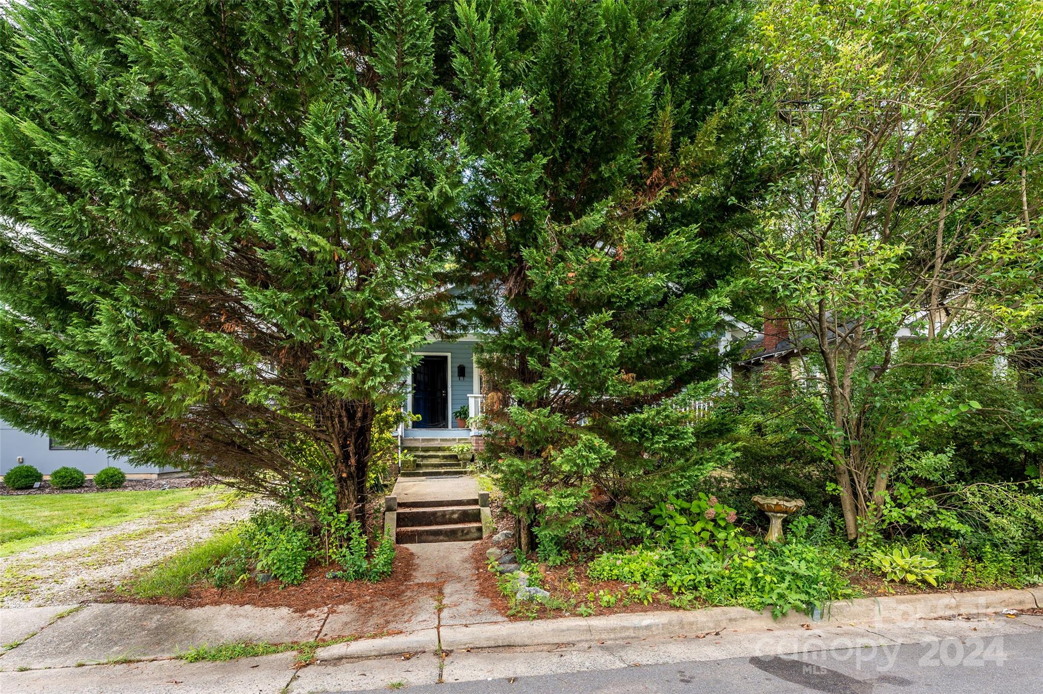 a house with a tree in front of it