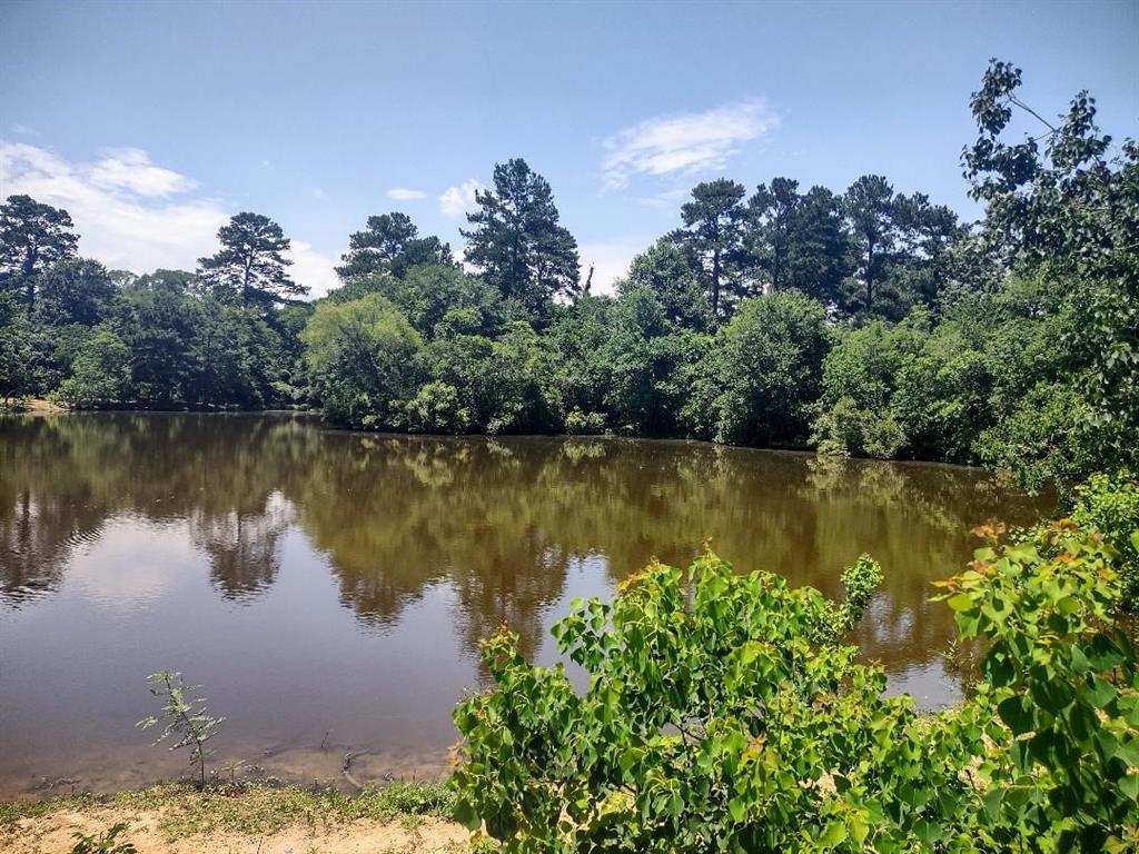 a view of a lake with a building in the background